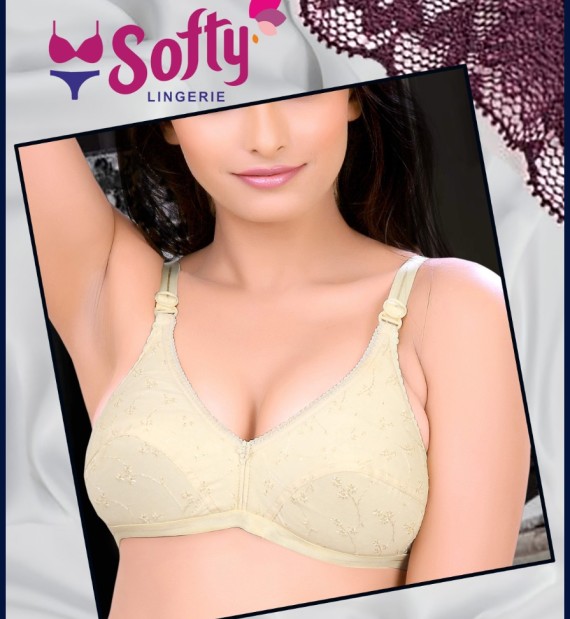 Saloni Womens Bra in Kohima - Dealers, Manufacturers & Suppliers - Justdial